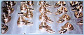models in wood or resin